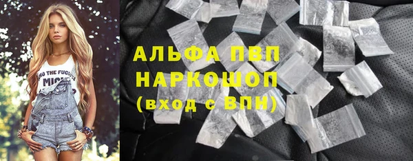 эйфоретик Сясьстрой