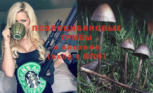 эйфоретик Сясьстрой