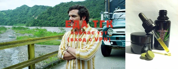 эйфоретик Сясьстрой